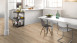 Parador Klick Vinyl Multilayer - Modular ONE Eiche pure Hell (1730767)