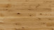 Parador Parkett Basic 11-5 Eiche lackversiegelt matt Micro 4V-Fase (1396114)