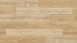 Parador Laminat Trendtime 6 Eiche Nova hell gekälkt Naturstruktur 4V-Fuge (1567469)