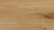 Parador Laminat - Basic 200 Eiche Horizont Natur (1593723)