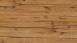 Parador Parkett - Trendtime 8 Classic Eiche Tree Plank Naturöl plus gefast (1739957)