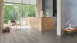 Parador Klick Vinyl - Basic 5.3 Eiche pastellgrau (1743005)