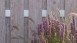 planeo Gardence Resistant - HPL-Fertigzaun Hochkant Holzoptik 90 x 180 cm