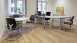 Project Floors Vinylboden - floors@home30 PW 1250-/30