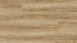 Project Floors Vinylboden - Click Collection 0,30 mm - PW4001/CL30 Landhausdiele (PW4001CL30)