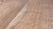 planeo Objekt Plus - Smoky Oak Gold Klick-Vinyl