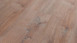 planeo Objekt Plus - Smoky Oak Gold Klick-Vinyl