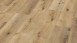 Wineo Klebevinyl - 800 wood XL Corn Rustic Oak (DB00064)