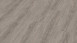 Wineo Klebevinyl - 800 wood XL Lund Dusty Oak (DB00065)