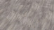 Wineo Klebevinyl - 800 wood Riga Vibrant Pine (DB00082)