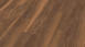Wineo Klebevinyl - 800 wood Sardinia Wild Walnut (DB00083)