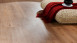 KWG Klick Vinyl Multilayer - Antigua Infinity Wintereiche (900305)