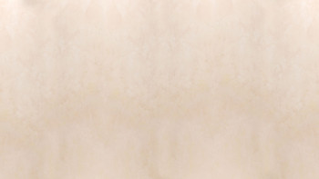 planeo Wallboard - Limestone Matt - différents formats