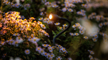 planeo Éclairage de jardin 12V - Projecteur/mural à LED Xible - 2W 160 lumens