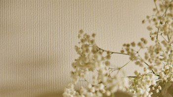 planeo Revêtement mural SPC - CeraRock Tile Stripes Concrete Cream 120 x 60 cm