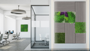 planeo Panneau acoustique - MixWall Timber Touch Althea Oak 52 x 104 cm | Placage en bois véritable (PLMW-10011B)