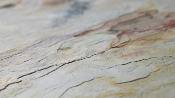planeo EVOLITH Slate&Stone - Revêtement mural en pierre naturelle Autumn Drift 1220 x 610 mm