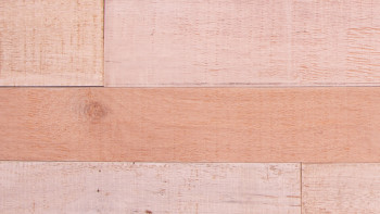 planeo WoodWall - Mur de baraque FSC Lombardie