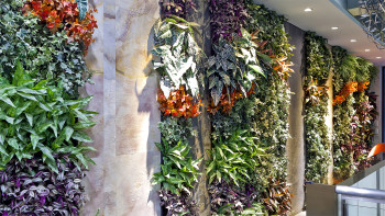 planeo EVOLITH Slate&Stone - revêtement mural en pierre naturelle Bianco Pure 1220 x 610 mm