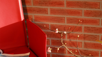 planeo StoneWall Solid briquette de parement TON - Classic Brick