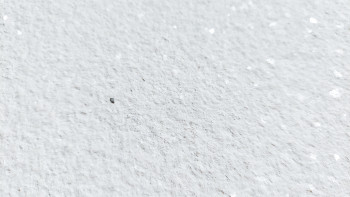 planeo EVOLITH Slate&Stone - revêtement mural en pierre naturelle Crystal White 1220 x 610 mm