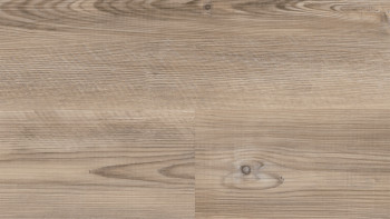 Wineo vinyle à coller - 400 wood L Coast Pine Taupe (DB284WL)