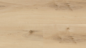 Wineo vinyle à coller - 400 wood XL Nordic Maple Cream | Grain synchronisé (DB289WXL)
