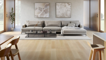 planeo Vinyle à clic rigide - SMARTline Pure Oak | Isolation phonique intégrée (NF-SL-585)