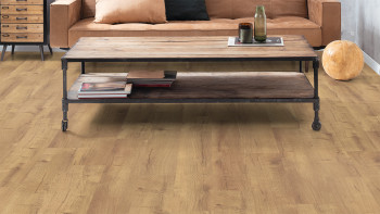 Egger Laminat - NL 2818 Dunino Eiche natur | glänzend