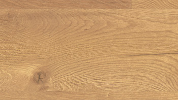 Egger Laminat - NL 2818 Dunino Eiche natur | glänzend