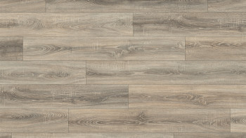 Egger Laminat - EL 1056 Bardolino Eiche grau | matt