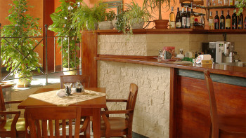 planeo StoneWall Solid briquettes de parement klinker - Fuji