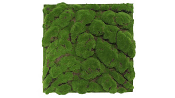 planeo Panneau acoustique - MixWall Moss Mood Forest Green Big Bulk 52 x 52 cm | Mousse artificielle (PLMW-00211C)