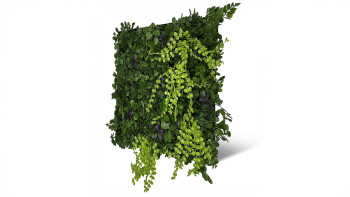 planeo Panneau acoustique - MixWall Leaf Mood Cascade Mixed Flora 52 x 52 cm | Plante artificielle (PLMW-10121A)