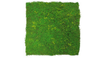 planeo Panneau acoustique - MixWall Moss Mood Light Green Fibre 52 x 52 cm | Mousse artificielle (PLMW-10211C)