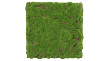 planeo Panneau acoustique - MixWall Moss Mood Forest Green Bulk 52 x 52 cm | Mousse artificielle (PLMW-20211C)
