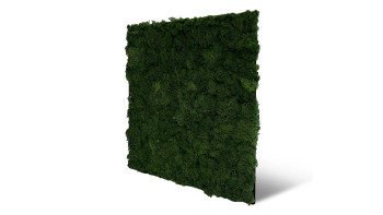 planeo Panneau acoustique - MixWall Living Moss Dark Green 52 x 52 cm | Mousse naturelle (PLMW-30111)