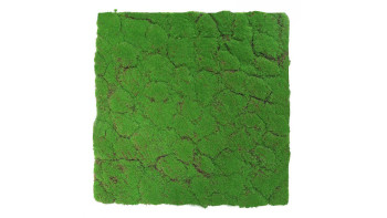 planeo Panneau acoustique - MixWall Moss Mood Forest Green 52 x 52 cm | Mousse d'art (PLMW-30121A)
