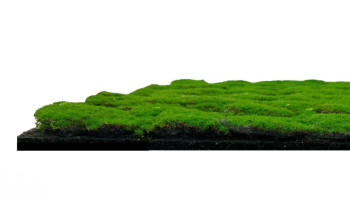 planeo Panneau acoustique - MixWall Moss Mood Forest Green 52 x 52 cm | Mousse d'art (PLMW-30121A)
