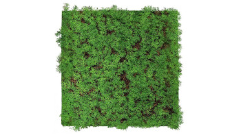 planeo Panneau acoustique - MixWall Living Leaf Thuja Tea Tree 52 x 52 cm | Plante naturelle (PLMW-50111)