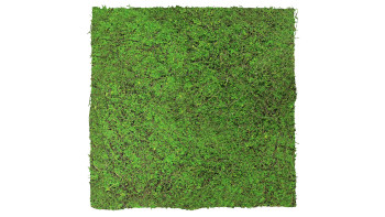 planeo Panneau acoustique - MixWall Living Leaf Forest Green Ancient Tree 52 x 52 cm | Plante naturelle (PLMW-70111)