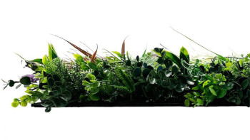 planeo Panneau acoustique - MixWall Leaf Mood Exotic Mixed Flora 52 x 52 cm | Plante artificielle (PLMW-71111)