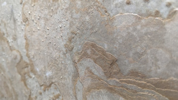 planeo EVOLITH Slate&Stone - Revêtement mural en pierre naturelle Siena Dust 1220 x 610 mm