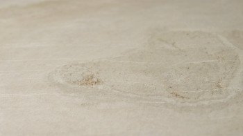 planeo EVOLITH Slate&Stone - Revêtement mural en pierre naturelle Siena Dust 1220 x 610 mm