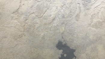 planeo EVOLITH Slate&Stone - Revêtement mural en pierre naturelle Siena Dust 1220 x 610 mm