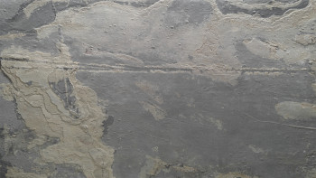 planeo EVOLITH Slate&Stone - revêtement mural en pierre naturelle Terracrust 1220 x 610 mm