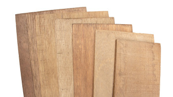 planeo WoodWall - Mur de baraque FSC Vérone