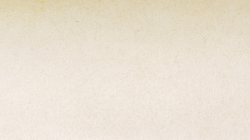 planeo EVOLITH Slate&Stone - Revêtement mural en pierre naturelle White Core 1220 x 610 mm