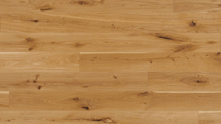 Parador Engineered Wood Flooring Basic 11-5 Chêne rustique huilé naturel Micro 4V biseauté