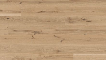 Parador Engineered Wood Flooring Basic 11-5 Chêne laqué blanc mat Micro 4V biseauté